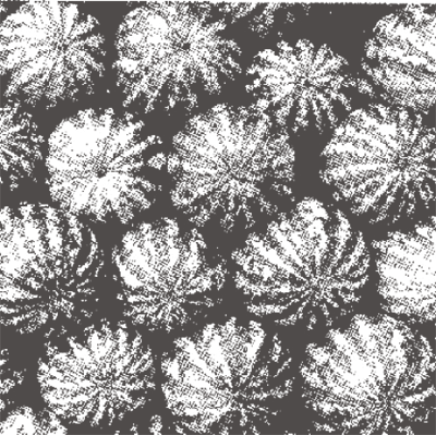 Zmiany w unijnym systemie ochrony oznaczeń geograficznych